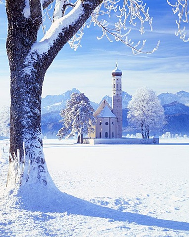 St. Coloman Pilgrimage Church near Fuessen, Allgaeu, Bavaria, Germany, Europe