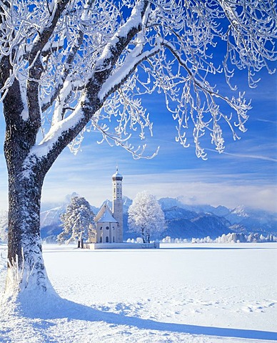 St. Coloman Pilgrimage Church near Fuessen, Allgaeu, Bavaria, Germany, Europe