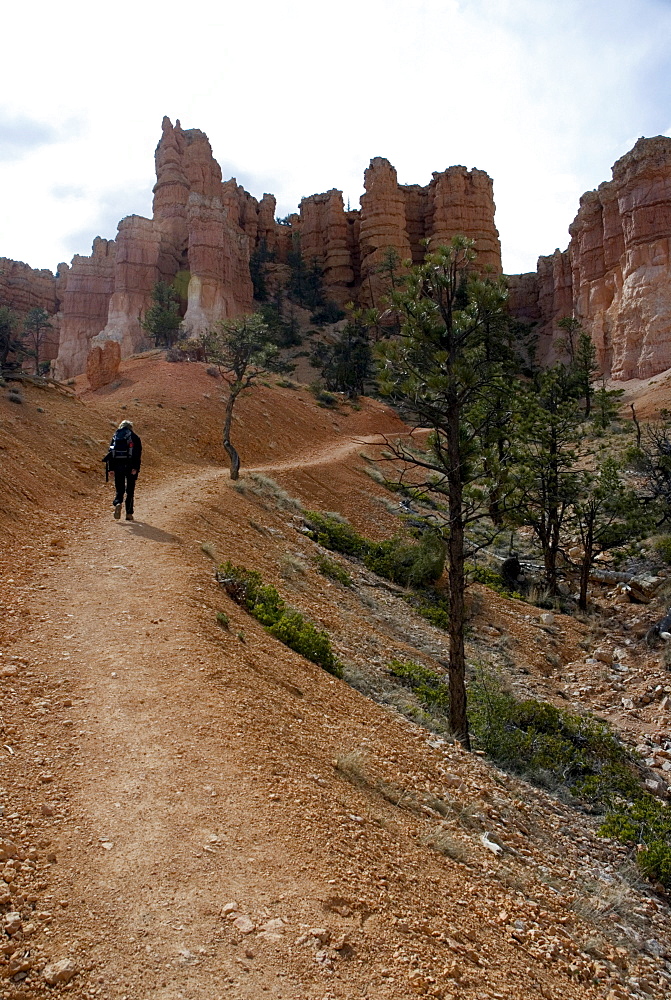 Hiker in the Bryce Canyon, Utah, USA