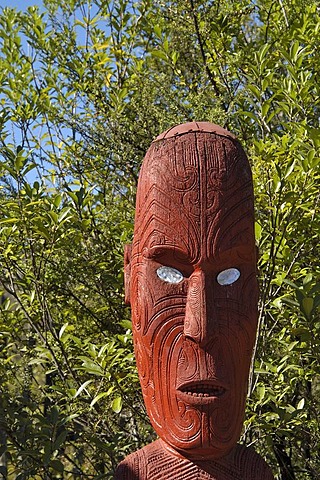 Wood carvings, Maori village, Whakararewa, Rotorua, Nord Island, New Zealand