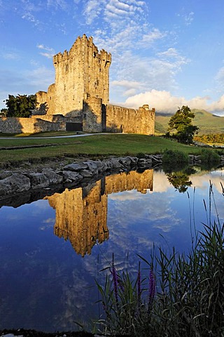 Ross castle at the Lough Lane, Killarney National Park, Killarney, Kerry, Ireland