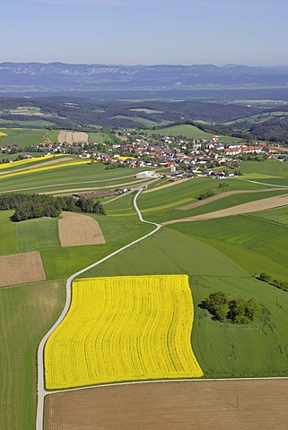 Aerial shot of a canola field, Lower Austria, Austria