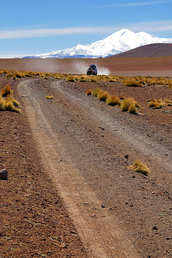 Altiplano, Bolivia, South America