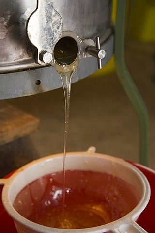 Honey flowing from the centrifuge through a sieve