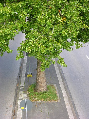 Pedestrian refuge