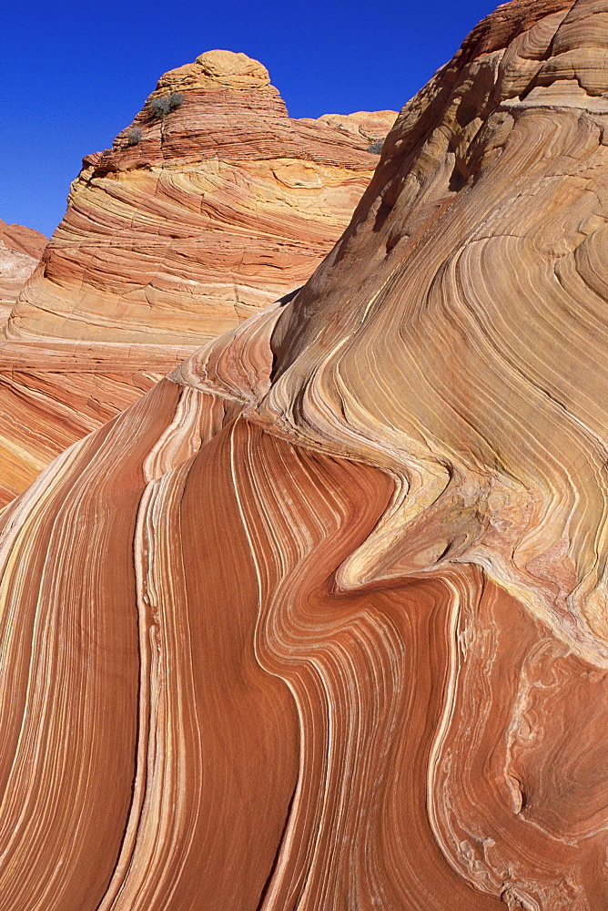 Petrified sand dunes, Coyote Buttes, Arizona, USA