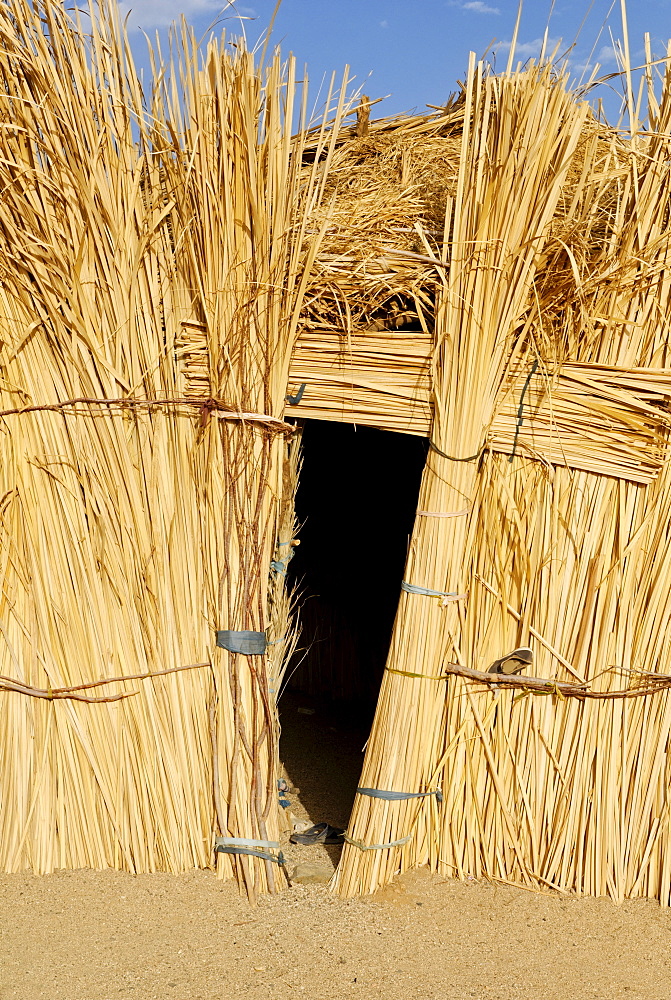 Tuareg thatched palm hut, Zeriba, Hoggar, Ahaggar, Wilaya Tamanrasset, Algeria, North Africa, Africa