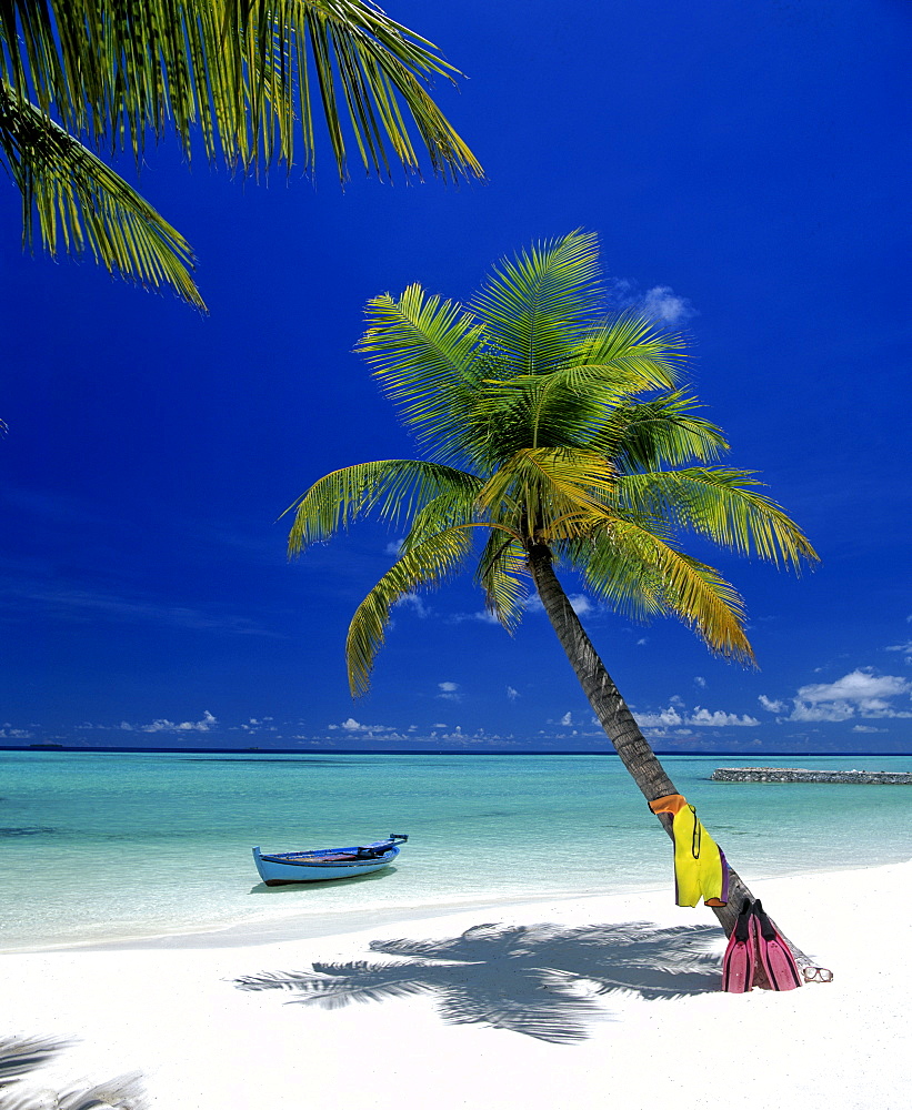 Palm tree, beach, snorkeling gear and boat, Maldives, Indian Ocean