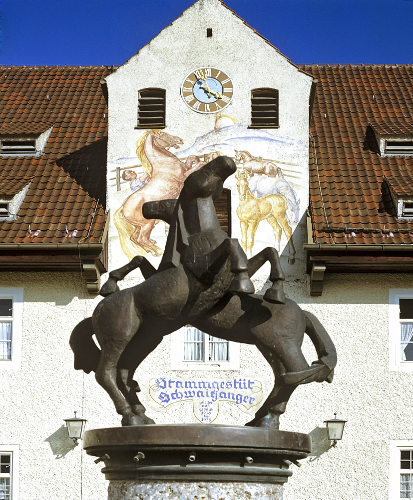 Schwaiganger Stud Farm near Ohlstadt, Upper Bavaria, Bavaria, Germany, Europe