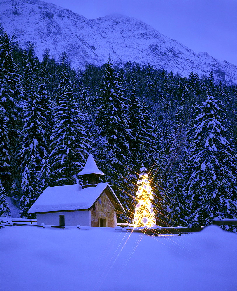 Chapel, Christmas tree near Elmau, Upper Bavaria, Bavaria, Germany, Europe