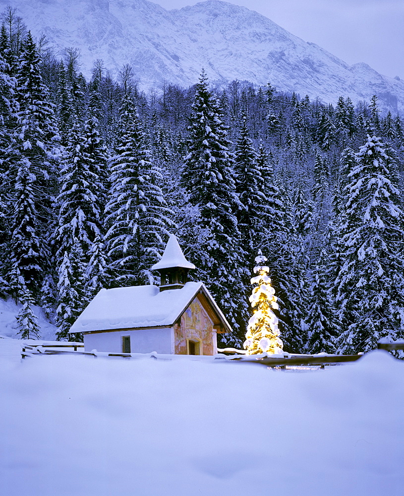 Chapel, Christmas tree near Elmau, Upper Bavaria, Bavaria, Germany, Europe