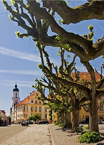 Karls square with the Virgins fountain and the houses of Amalien road, Catholic Church St. Peter, City of Neuburg at the river Donau founded as maintown of principality Pfalz-Neuburg 1505, Bavaria, Germany, BRD, Europe