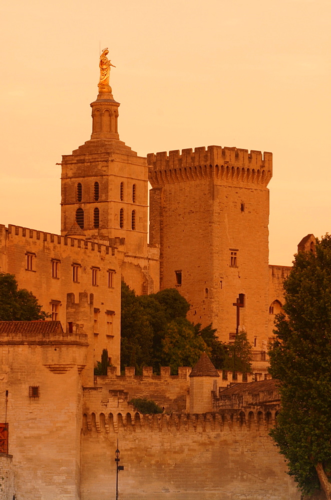 Papal Palace at Rhone River in Avignon, Provence, France