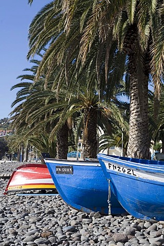 Fishing boats on the beach, Santa Cruz, Madeira, Portuga