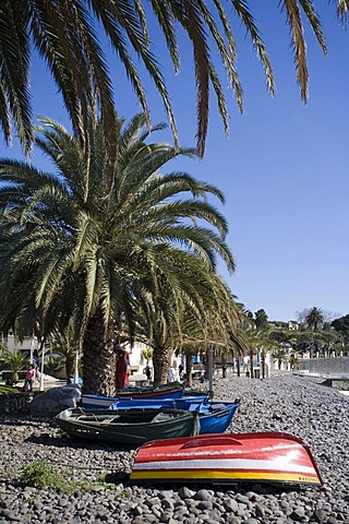 Fishing boats on the beach, Santa Cruz, Madeira, Portuga