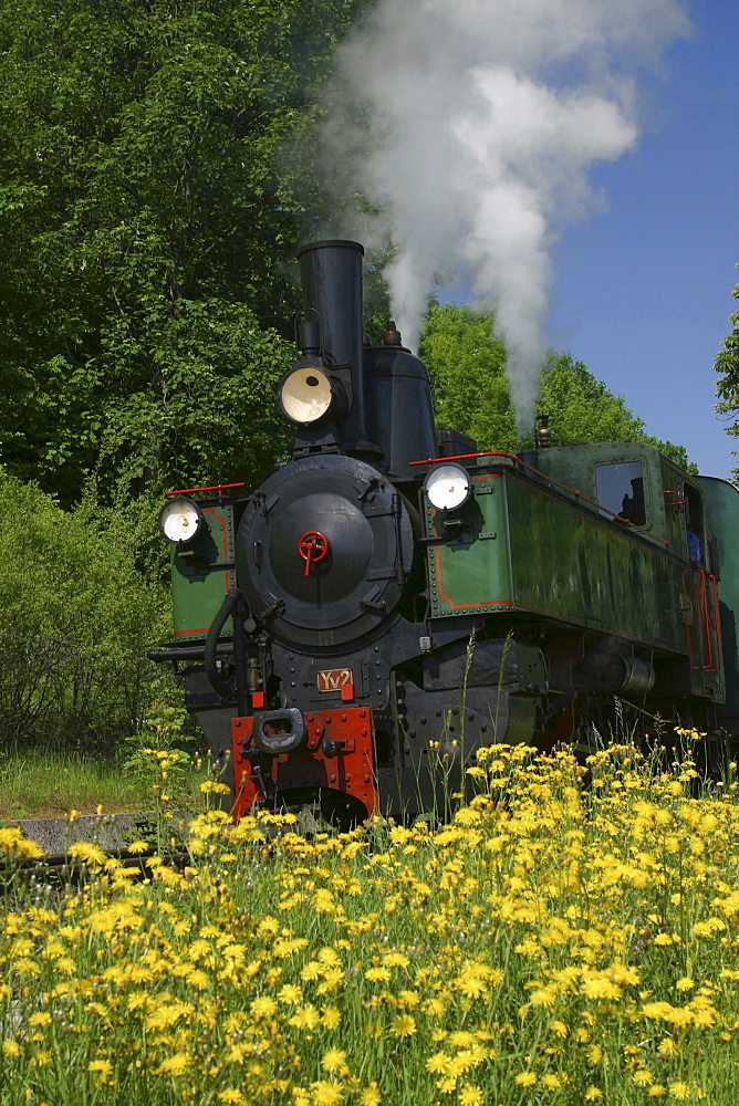 Steam locomotive, Austria, Lower Austria, Mostviertle Region