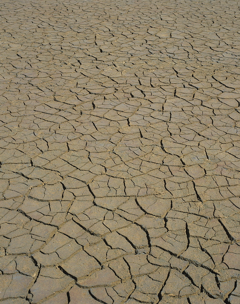 Dry ground