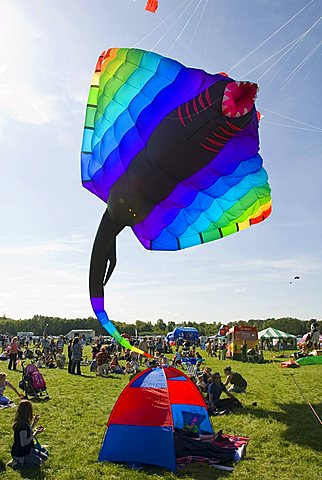 Gigantic kite, stingray, manta, visitors, International Kite Festival, Bristol, England, United Kingdom, Europe