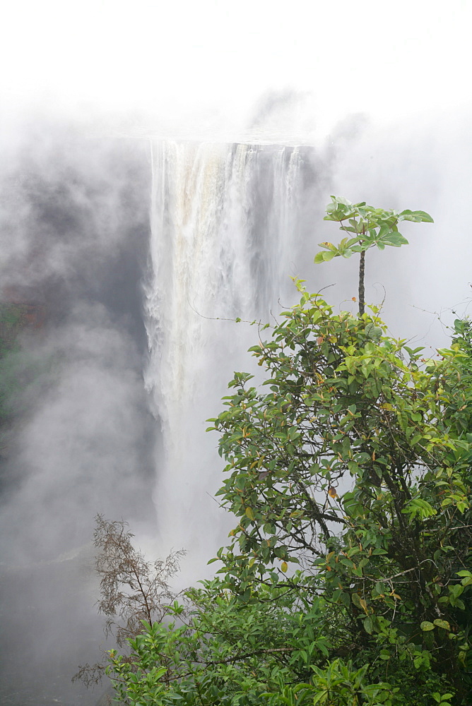 After tropical rains, Kaieteur Waterfalls, Potaro National Park, Guyana, South America