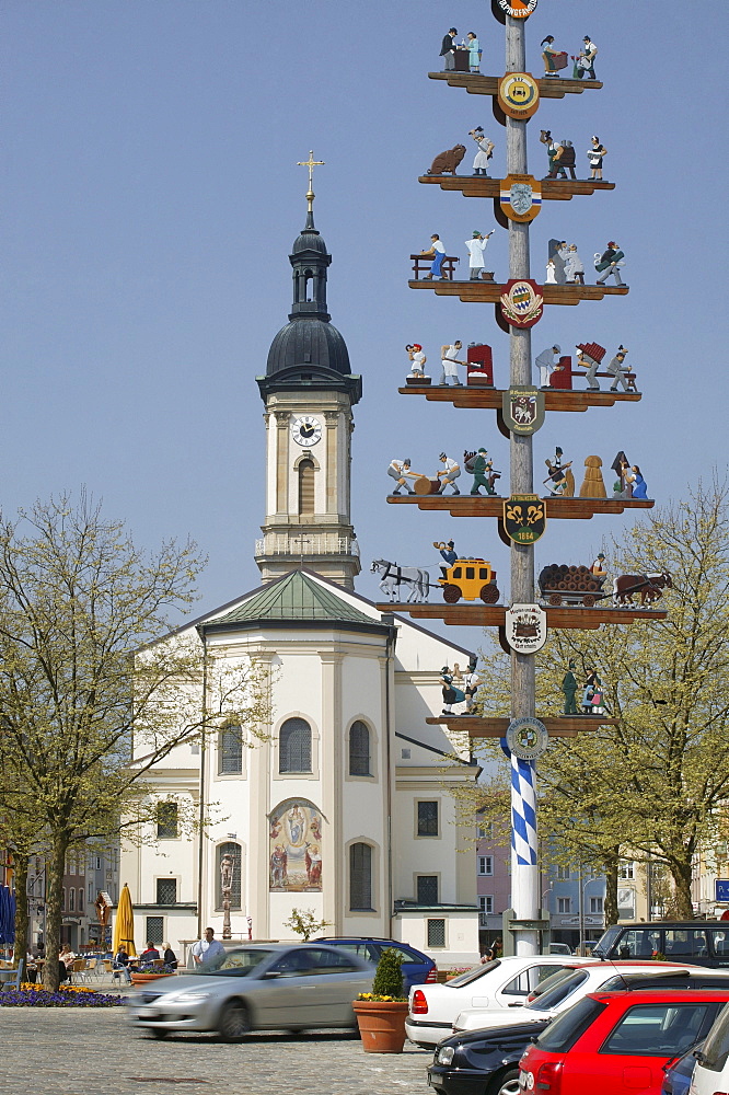 Maypole in front of St. Oswald's Church in Traunstein, Upper Bavaria, Bavaria, Germany, Europe