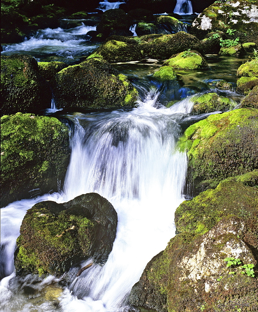 Small waterfall in a mountain stream with moss-covered rocks, movement