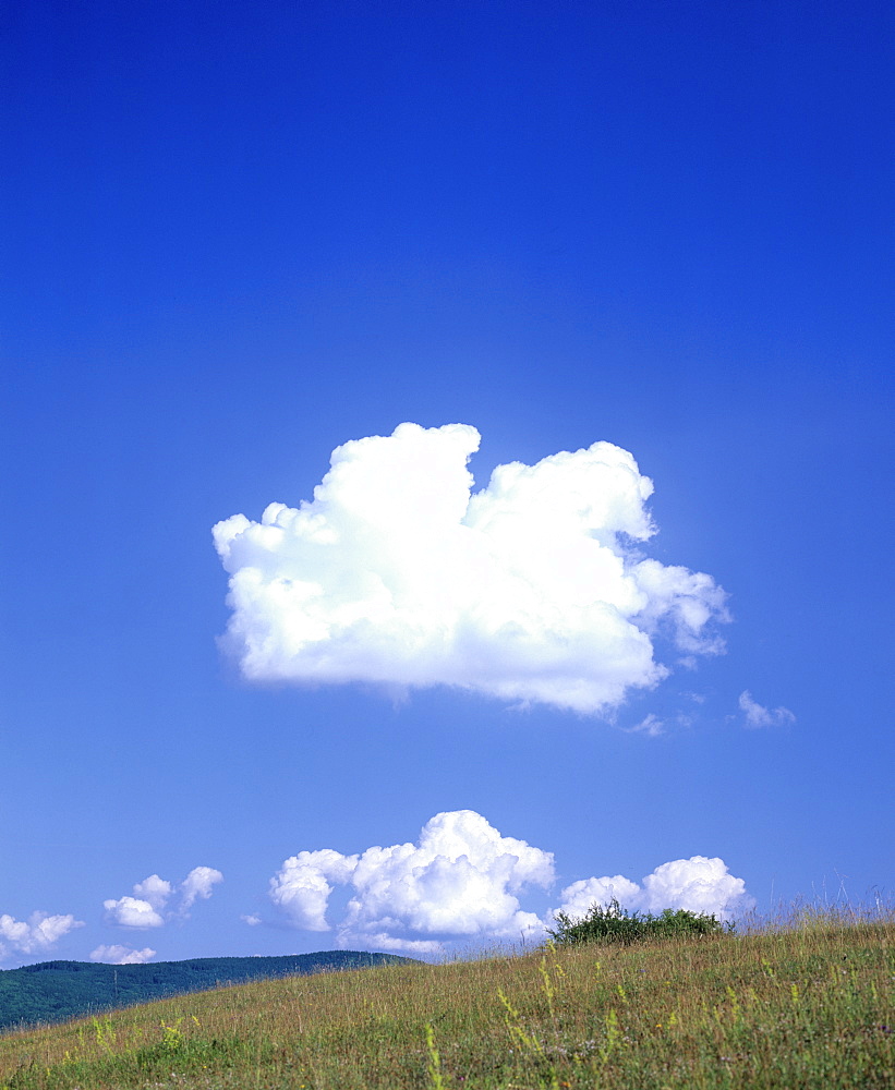 Cumulus cloud in a blue sky