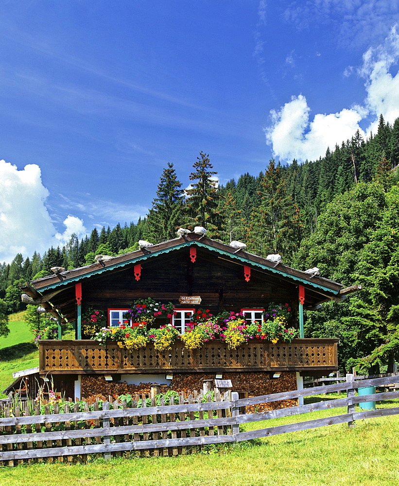 Log cabin with balcony and flower boxes at the edge of the forest in Styria, Austria, Europe