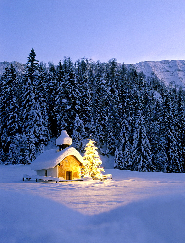 Chapel near Elmau, dusk, snow-covered winter landscape, Christmas tree, Upper Bavaria, Bavaria, Germany