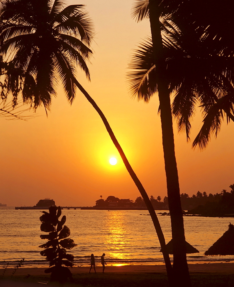 Palm trees and sunset, Goa, India