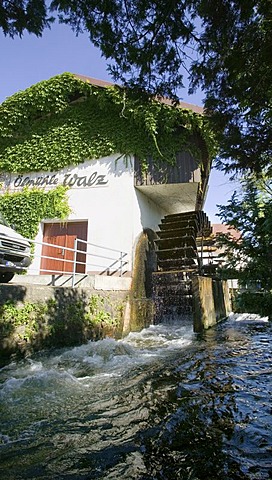 Oberkirch, DEU, 31.08.2005: In the oil mill Walz am Muehlbach in Oberkirch/Suedbaden valuable natural oils are manufactured by water power.