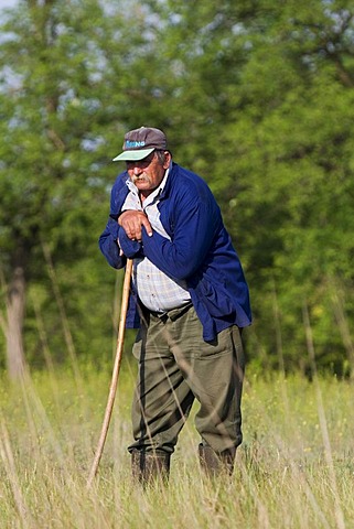 Shepherd, Kiscunsag National Park, Hungary