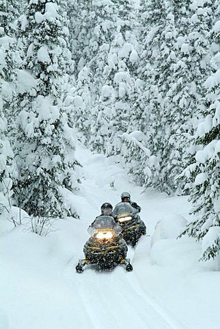 CAN, Canada , Quebec : Snowmobiles in the region of Saguenay - Lac Saint Jean, Monts Valin