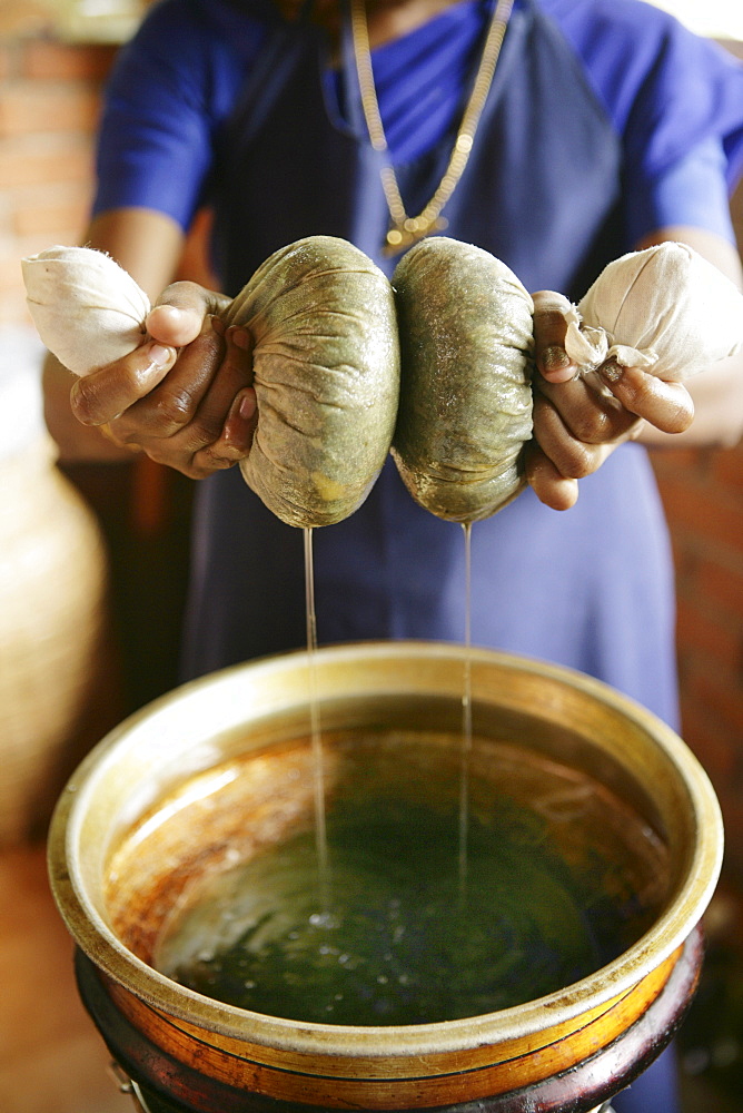 Massage technique using herb pouches, Somatheeram Ayurveda Resort, traditional Ayurvedic medicine spa resort in Trivandrum, Kerala, India, Asia