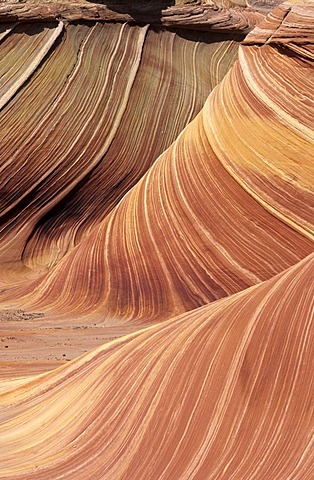 Sandstone formation in "The Wave", Paria Wilderness, Arizona, USA