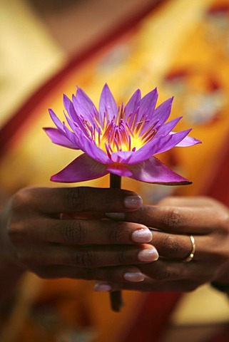 LKA, Sri Lanka : Siddhalepa Ayurveda Resort , wellcome of a hotel guest in the lobby.