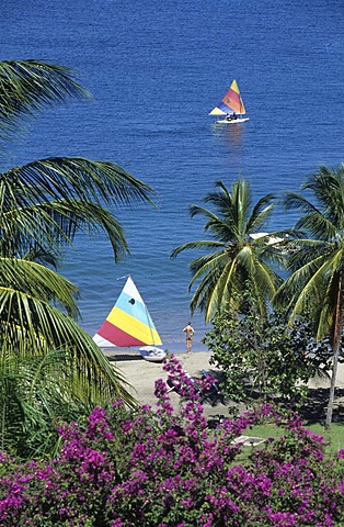 LCA, Saint Lucia: the Le Sport hotel in the northeast of the island, wellness and luxury.