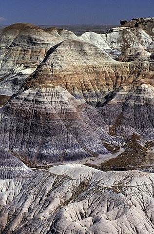 USA, United States of America, Arizona: Petrified Forest National Park. Park with bizarre erosion landscape, Painted Desert area and petrified trees.. Navajo Indian Reservation.