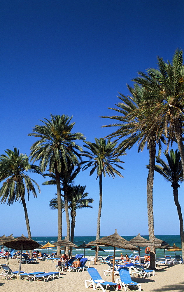 Beach, Zarzis, Djerba, Tunisia, Africa