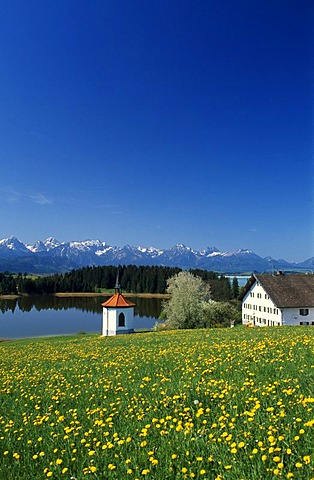 Lake Hergratsried, Allgaeu region, Bavaria, Germany Europe