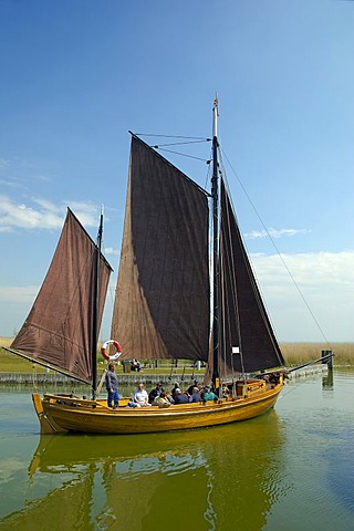 Traditional fishing boat leaving Althagen near Ahrenshoop for a trip Germany