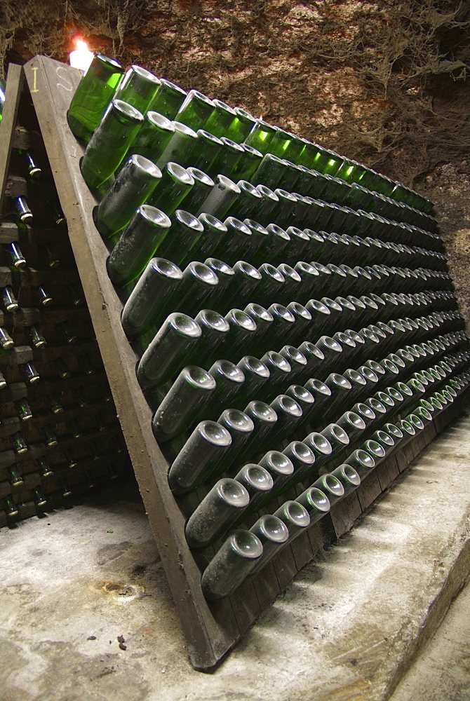 Wooden shelves for storing champagne bottles during the fermentation process in an old vault cellar, Kessler sparkling winery, Esslingen, Baden-Wuerttemberg, Germany, Europe