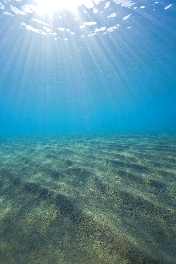 Sandy sea bottom with swell of waves