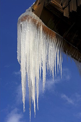 Icicles in a rainwater gutter, Germany.