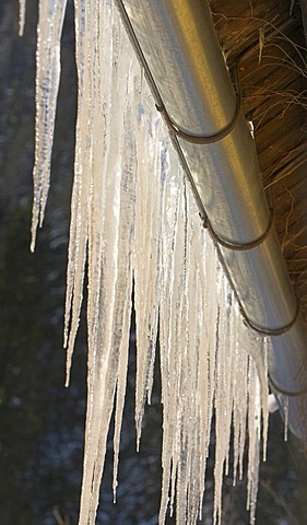 Icicles in a rainwater gutter, Germany.