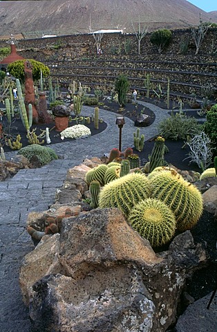 Jardin de Cactus, Lanzarote, a garden with a lot of cactuses, design from Cesar Manrique