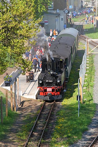 Narrow-gauge railroad Wilder Roland in Oschatz, Saxony, Germany