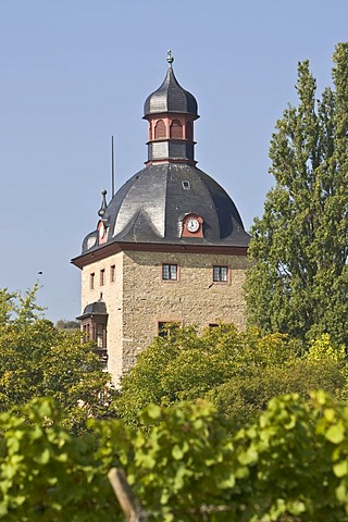 Vollrads Castle, Rheingau (Rhine District), Hesse, Germany