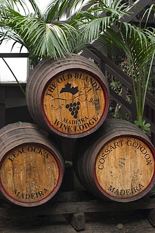 Madeira Wine Company - Funchal - Madeira