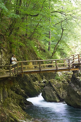 Vintgar Gorge with Radovna River near Bled -Triglav National Park - Slovenia