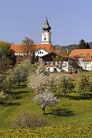 Lalling, Bavarian Forest, Lower Bavaria, Germany